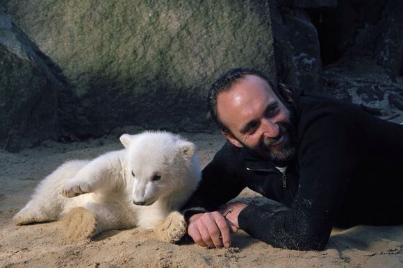 ベルリン動物園 シュタイフ ホッキョクグマ クヌート 113147 人気ホッキョクグマのクヌートが急死、ベルリン動物園 写真5枚