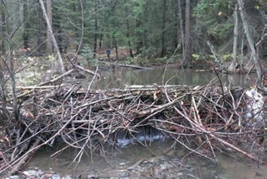 f:id:georgekato:20150930121356j:plain