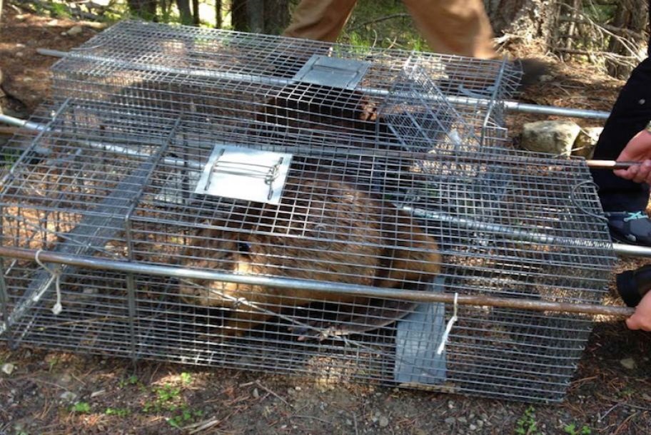 f:id:georgekato:20150930121413j:plain