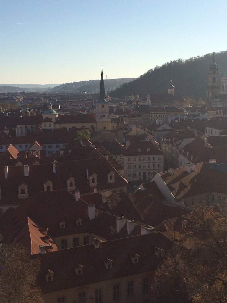 f:id:germanytomoppy:20151101205522j:image f:id:germanytomoppy:20151101205522j:image