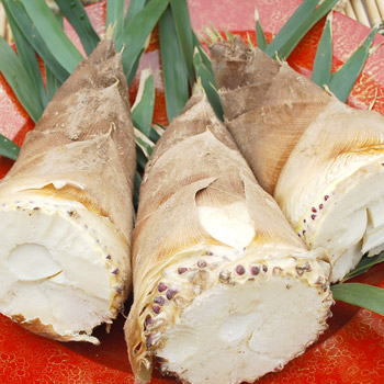 f:id:getsuyokarayohukashi:20160425174147j:plain