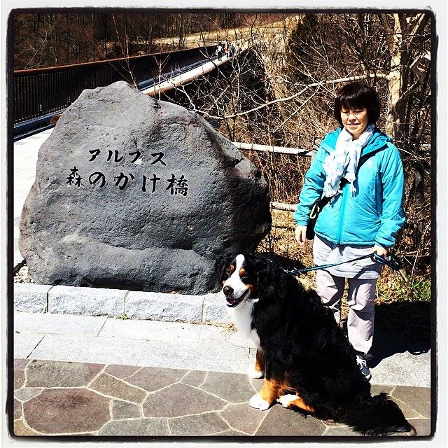 f:id:gillescafe:20140414194603j:plain f:id:gillescafe:20140414194603j:plain