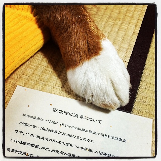 f:id:gillescafe:20140414194604j:plain f:id:gillescafe:20140414194604j:plain