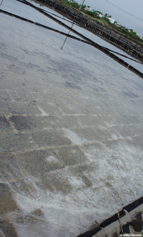 f:id:gillesmarchal:20110308073529j:image f:id:gillesmarchal:20110308073529j:image