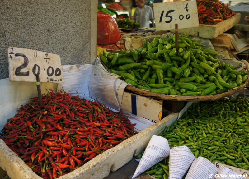 f:id:gillesmarchal:20110308091136j:image f:id:gillesmarchal:20110308091136j:image
