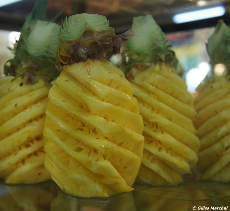 f:id:gillesmarchal:20110308091220j:image f:id:gillesmarchal:20110308091220j:image