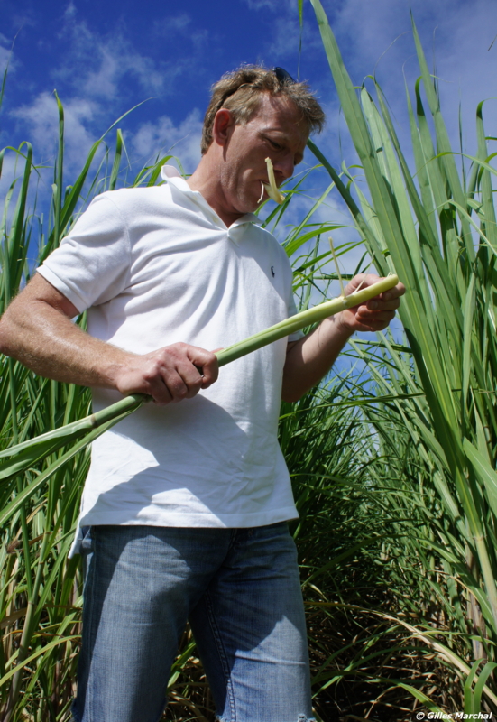 f:id:gillesmarchal:20110312061555j:image f:id:gillesmarchal:20110312061555j:image