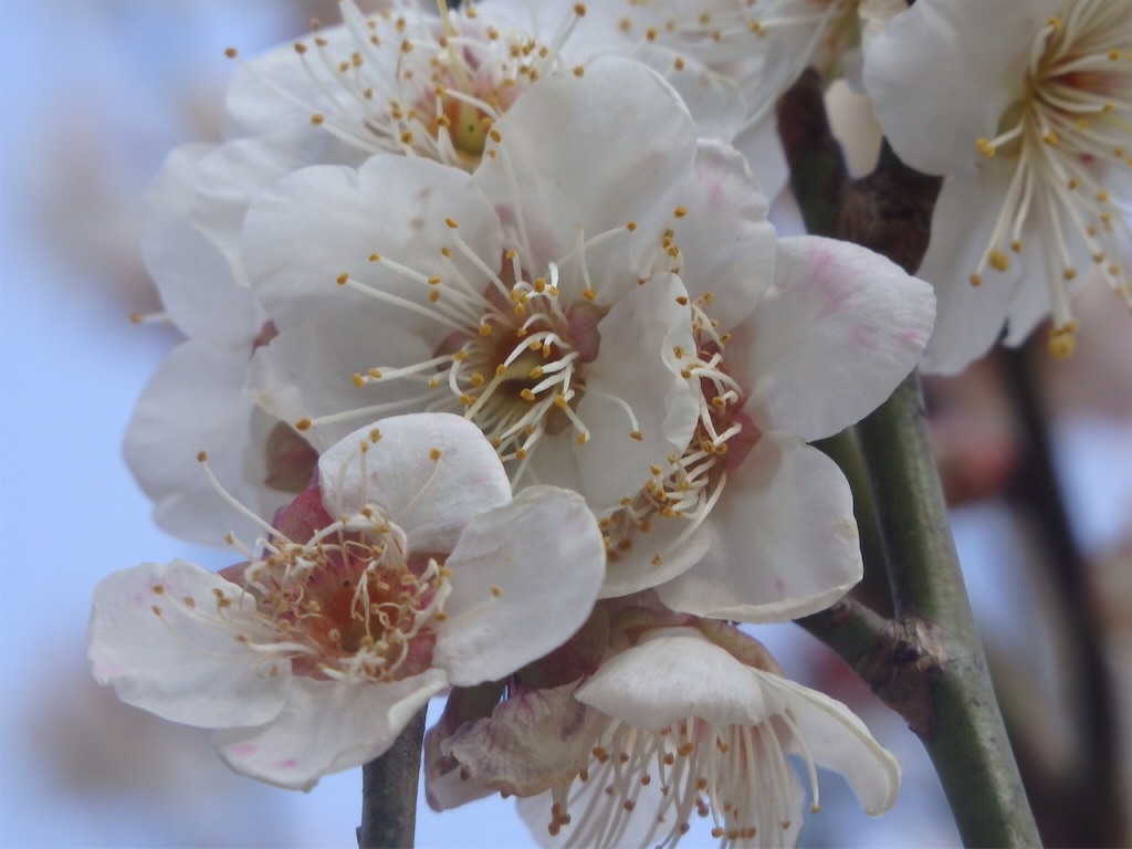 f:id:gimmeajob:20160305084942j:image f:id:gimmeajob:20160305084942j:image