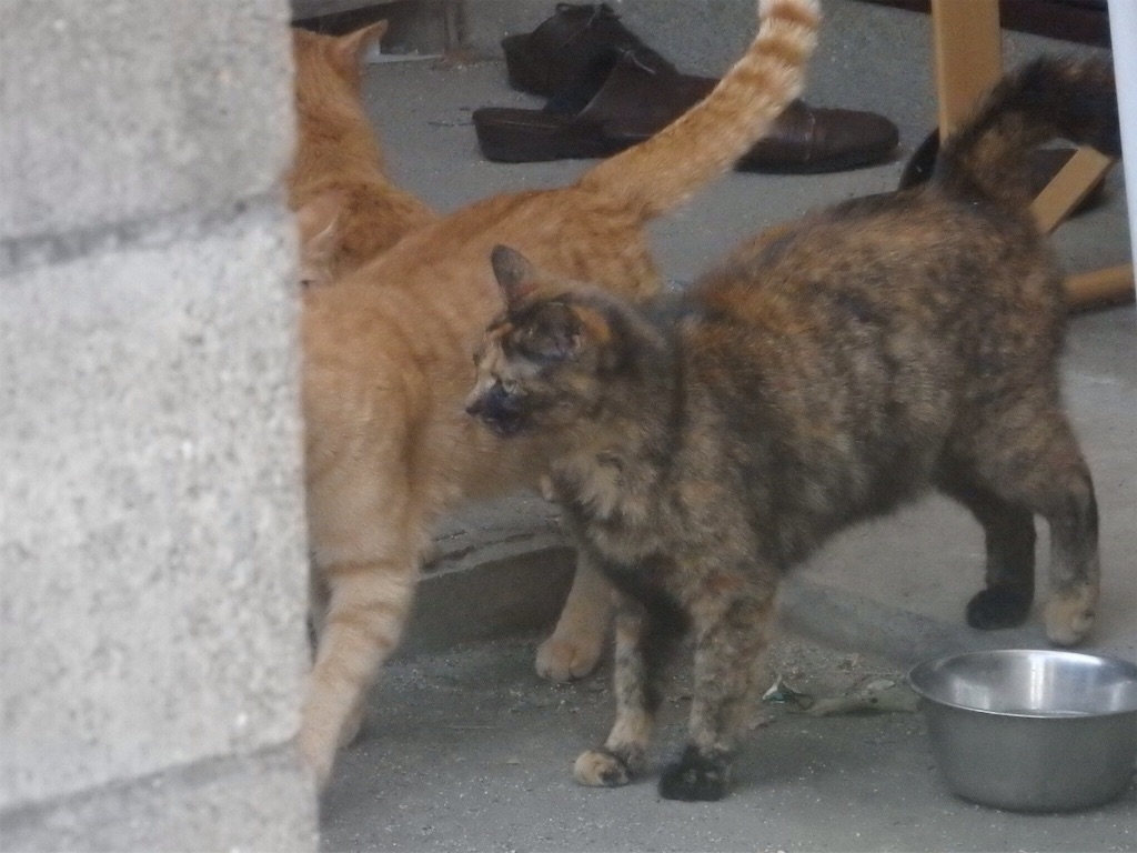 f:id:gimmeajob:20160305085133j:image f:id:gimmeajob:20160305085133j:image