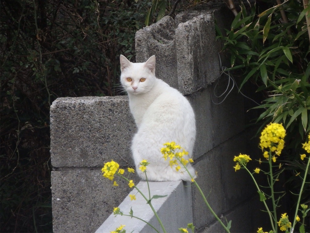 f:id:gimmeajob:20160309093118j:image f:id:gimmeajob:20160309093118j:image
