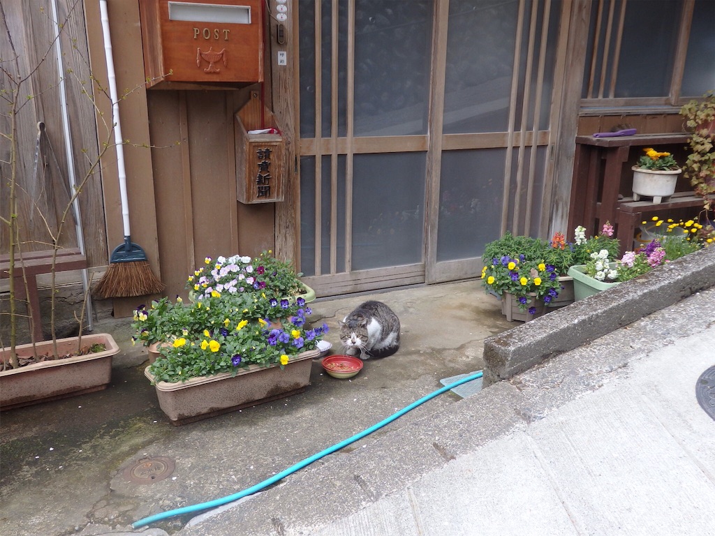 f:id:gimmeajob:20160331225023j:image f:id:gimmeajob:20160331225023j:image