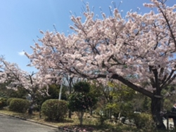 f:id:ginga_gakuin:20170413124129j:image f:id:ginga_gakuin:20170413124129j:image