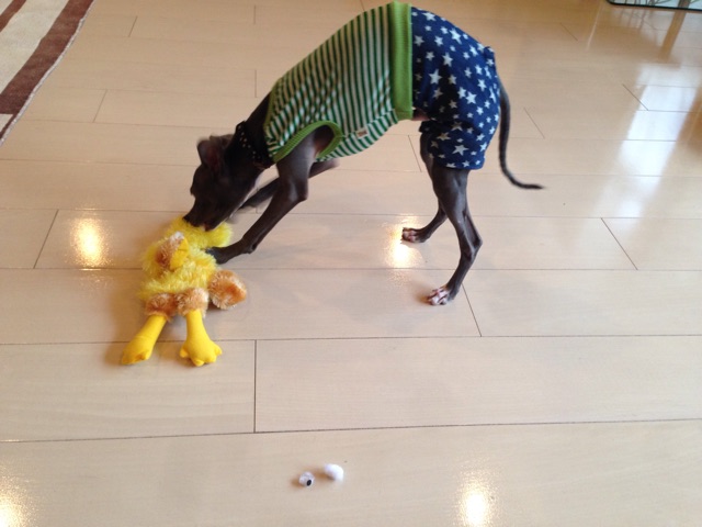 f:id:gino-ig:20150417170725j:plain