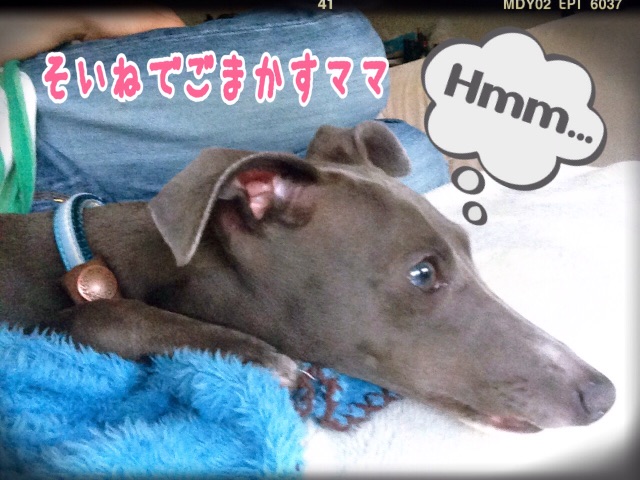 f:id:gino-ig:20150509103610j:image f:id:gino-ig:20150509103610j:image