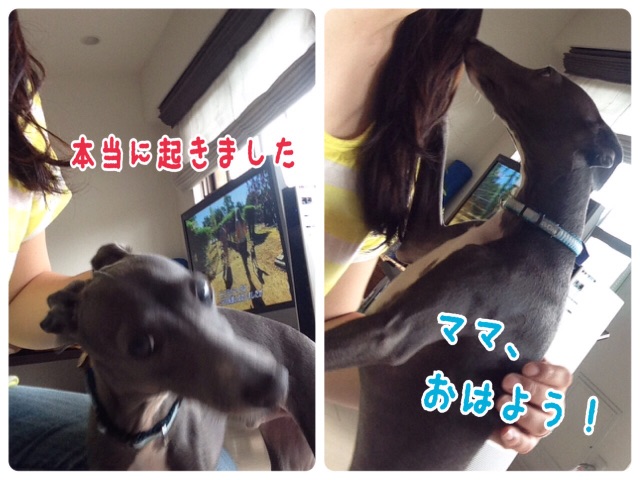 f:id:gino-ig:20150519222736j:image f:id:gino-ig:20150519222736j:image
