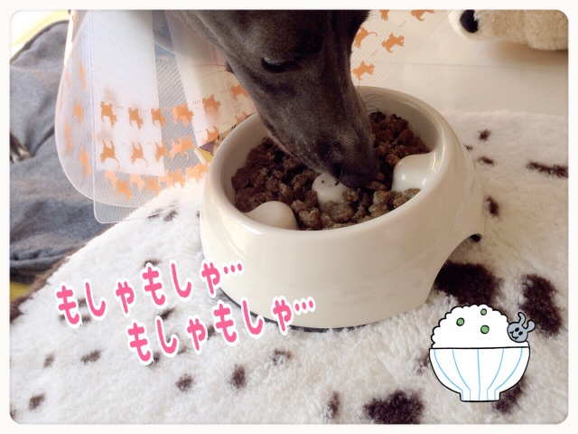 f:id:gino-ig:20150521203147j:image f:id:gino-ig:20150521203147j:image