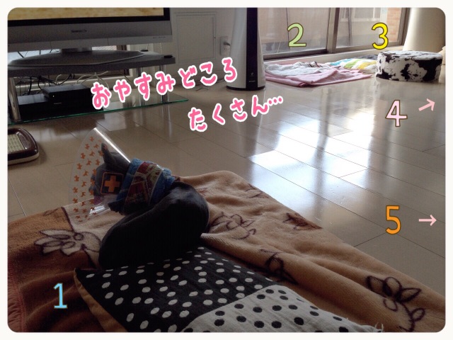 f:id:gino-ig:20150521204544j:image f:id:gino-ig:20150521204544j:image