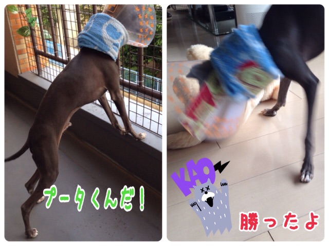 f:id:gino-ig:20150522222957j:image f:id:gino-ig:20150522222957j:image