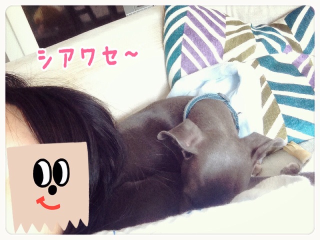 f:id:gino-ig:20150601172327j:image f:id:gino-ig:20150601172327j:image
