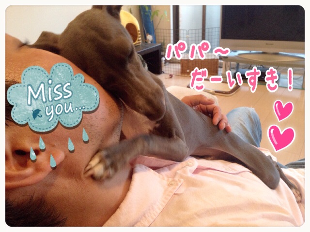 f:id:gino-ig:20150601181754j:image f:id:gino-ig:20150601181754j:image