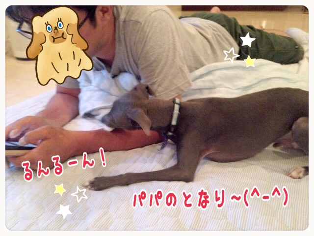 f:id:gino-ig:20150601181935j:image f:id:gino-ig:20150601181935j:image