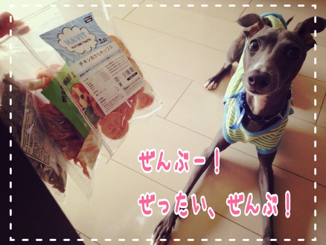 f:id:gino-ig:20150603232456j:image f:id:gino-ig:20150603232456j:image
