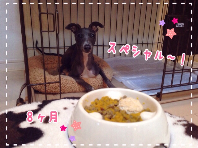 f:id:gino-ig:20150608211753j:image f:id:gino-ig:20150608211753j:image