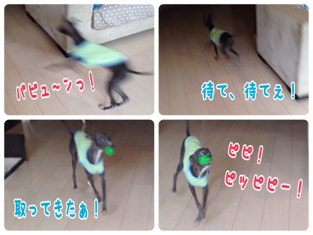 f:id:gino-ig:20150619235122j:image f:id:gino-ig:20150619235122j:image