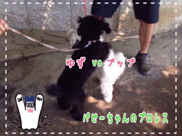 f:id:gino-ig:20150624223233j:image f:id:gino-ig:20150624223233j:image