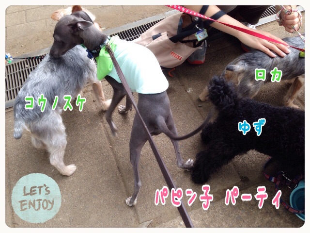 f:id:gino-ig:20150626182319j:image f:id:gino-ig:20150626182319j:image
