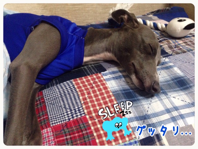 f:id:gino-ig:20150627233517j:image f:id:gino-ig:20150627233517j:image