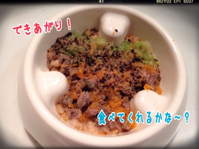 f:id:gino-ig:20150630233842j:image f:id:gino-ig:20150630233842j:image