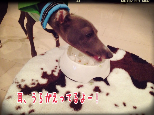 f:id:gino-ig:20150630234102j:image f:id:gino-ig:20150630234102j:image