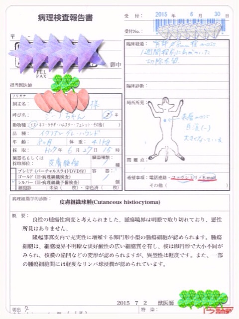 f:id:gino-ig:20150707201332j:image f:id:gino-ig:20150707201332j:image