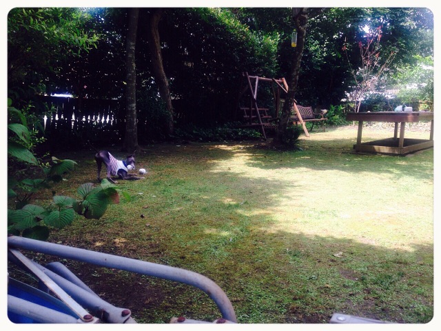 f:id:gino-ig:20150714222727j:image f:id:gino-ig:20150714222727j:image