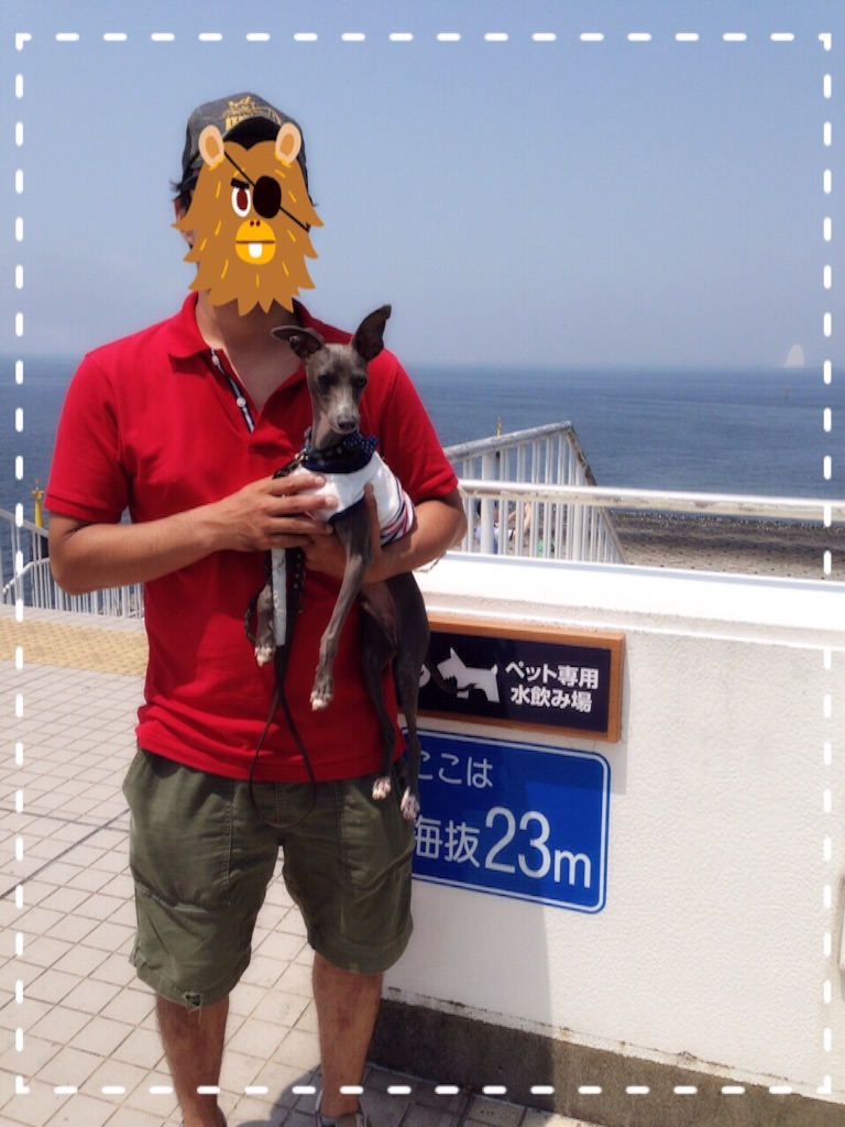 f:id:gino-ig:20150803213608j:image f:id:gino-ig:20150803213608j:image