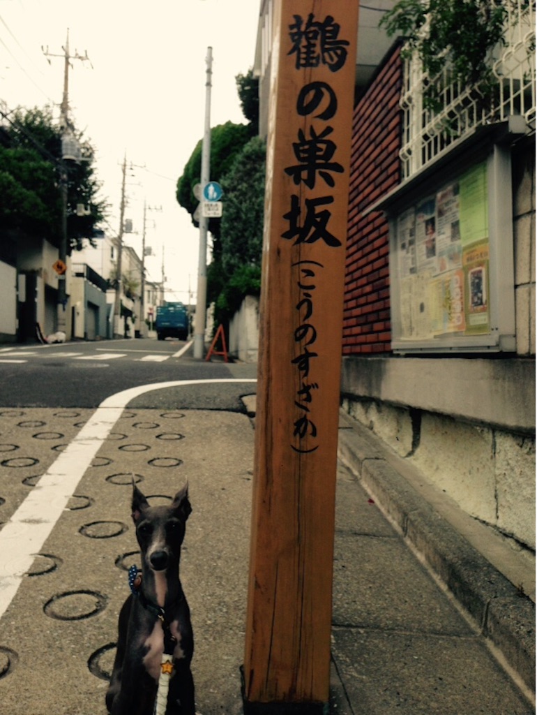 f:id:gino-ig:20150809134722j:image