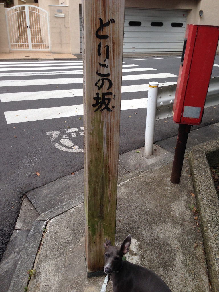 f:id:gino-ig:20150813144834j:image