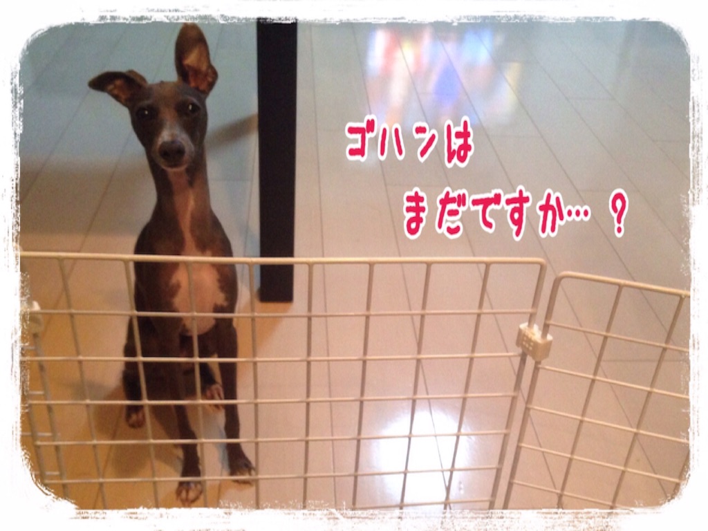 f:id:gino-ig:20150818204527j:image f:id:gino-ig:20150818204527j:image