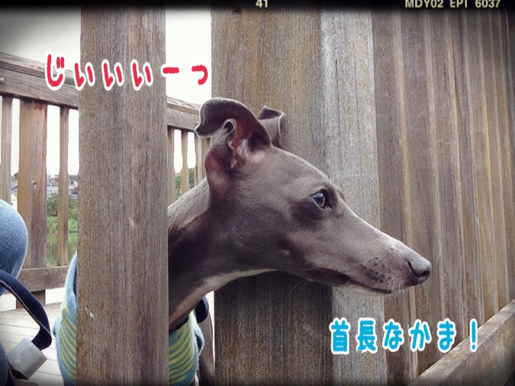 f:id:gino-ig:20150831192405j:image