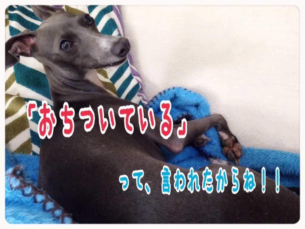 f:id:gino-ig:20150901181419j:image f:id:gino-ig:20150901181419j:image
