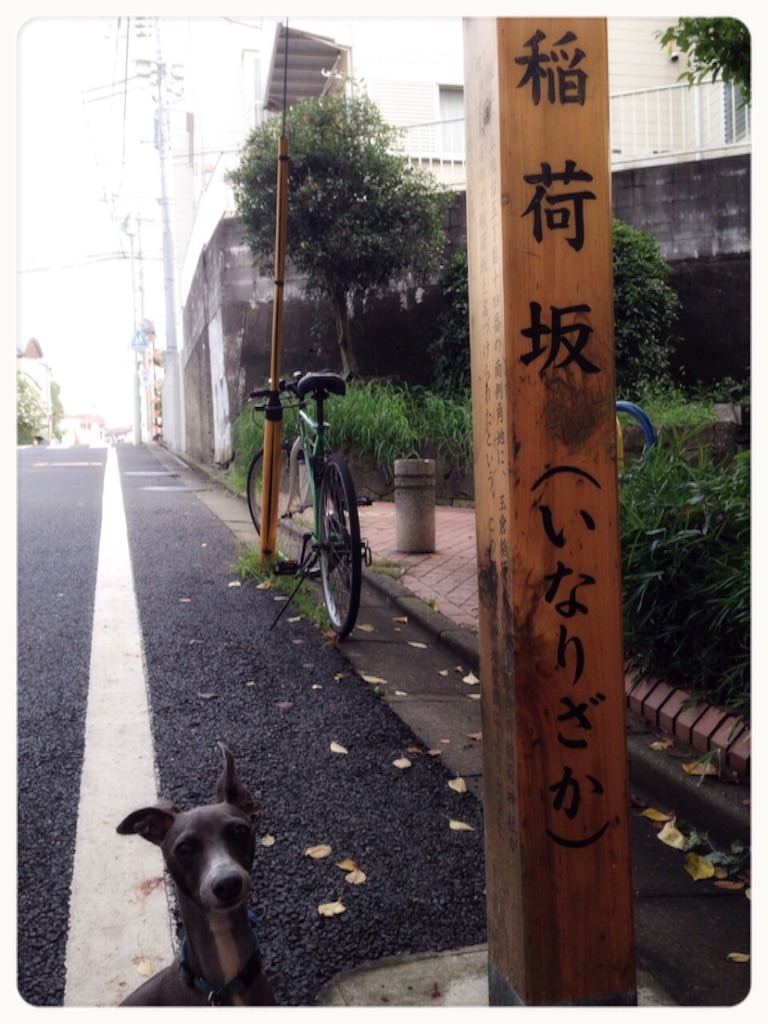 f:id:gino-ig:20150901194928j:image f:id:gino-ig:20150901194928j:image