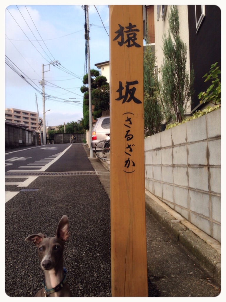 f:id:gino-ig:20150901195452j:image f:id:gino-ig:20150901195452j:image