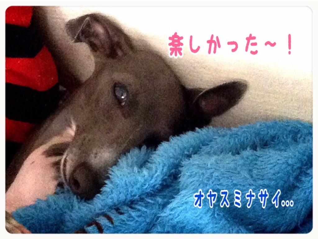 f:id:gino-ig:20150901205501j:image f:id:gino-ig:20150901205501j:image