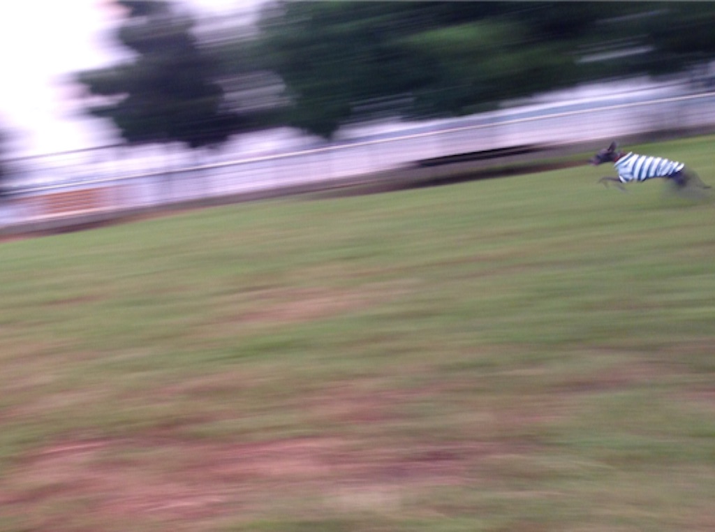 f:id:gino-ig:20150913212820j:image f:id:gino-ig:20150913212820j:image