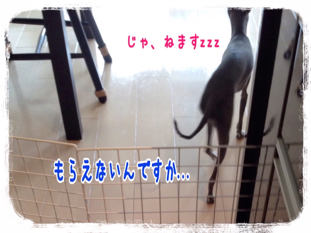 f:id:gino-ig:20150917120854j:image f:id:gino-ig:20150917120854j:image
