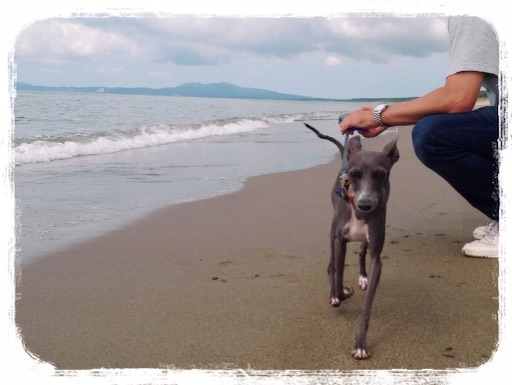 f:id:gino-ig:20150921224319j:image f:id:gino-ig:20150921224319j:image