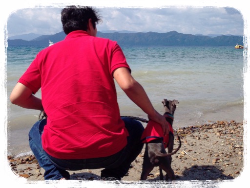 f:id:gino-ig:20150922200929j:image f:id:gino-ig:20150922200929j:image