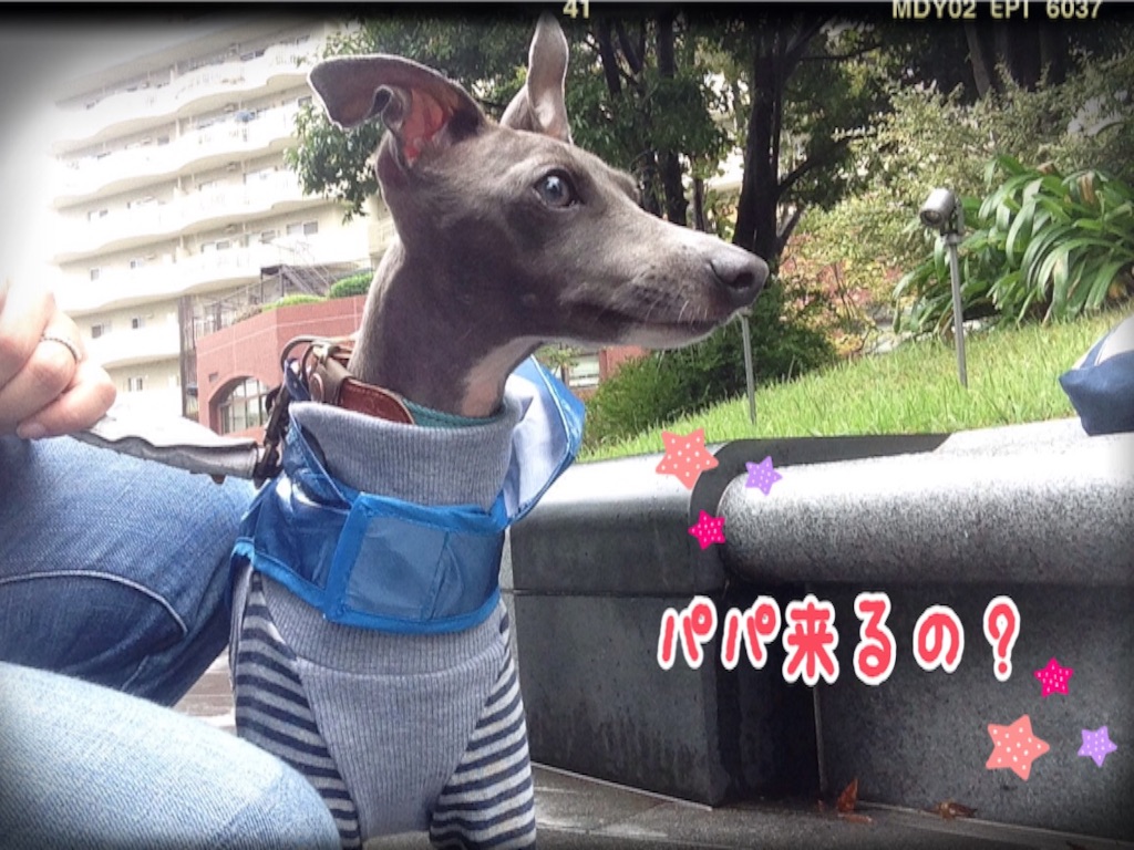 f:id:gino-ig:20150924230432j:image f:id:gino-ig:20150924230432j:image