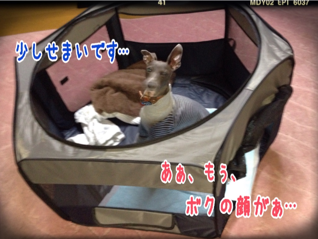 f:id:gino-ig:20150924230604j:image f:id:gino-ig:20150924230604j:image